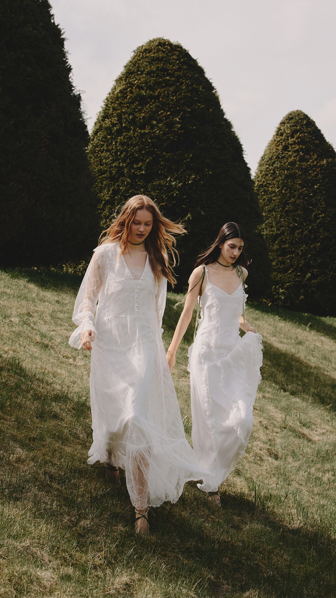 Cygne et Lys