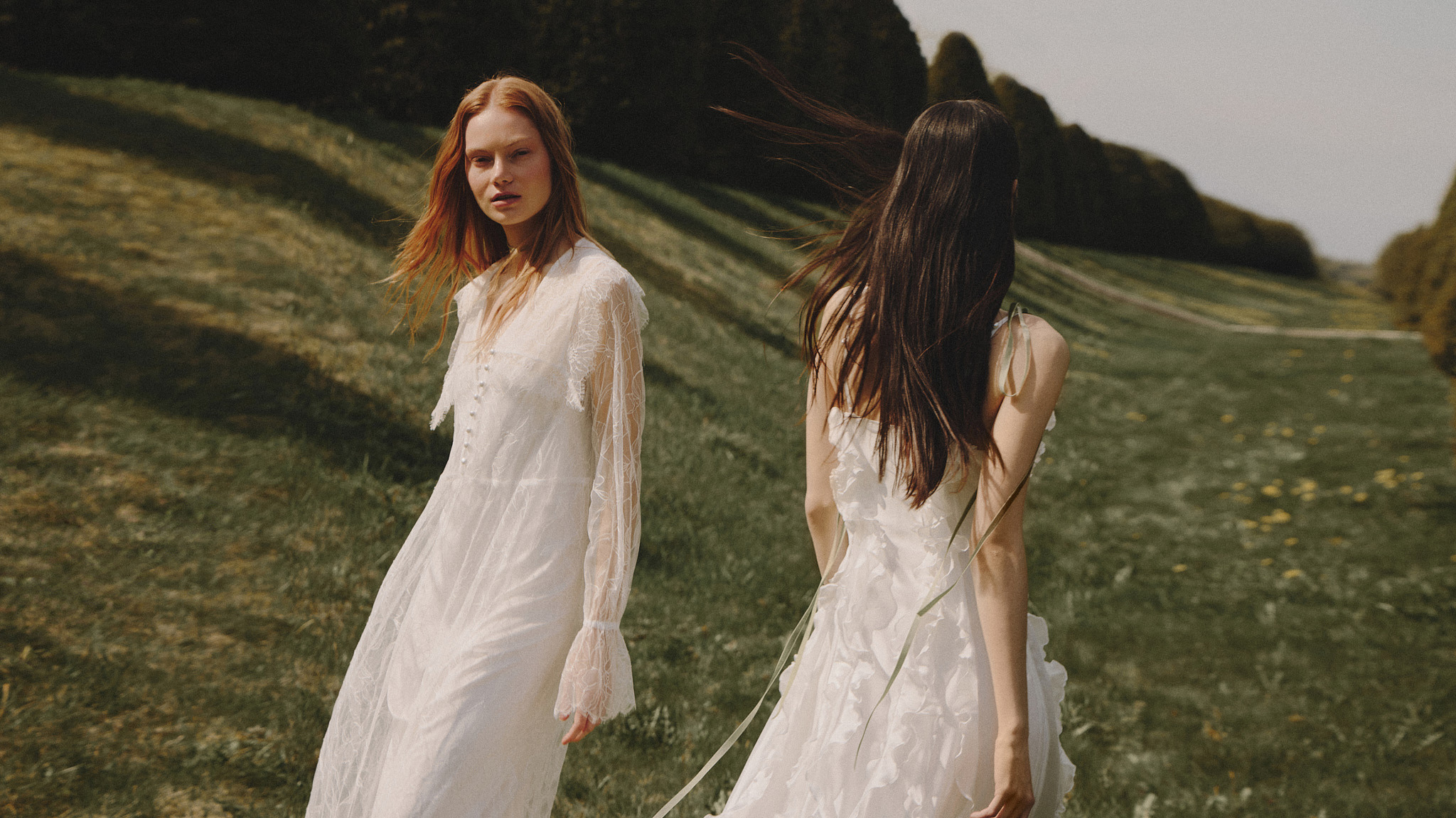 Cygne et Lys