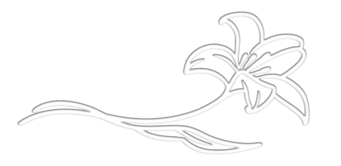 Lichi Inspire - SWAN&LILIES