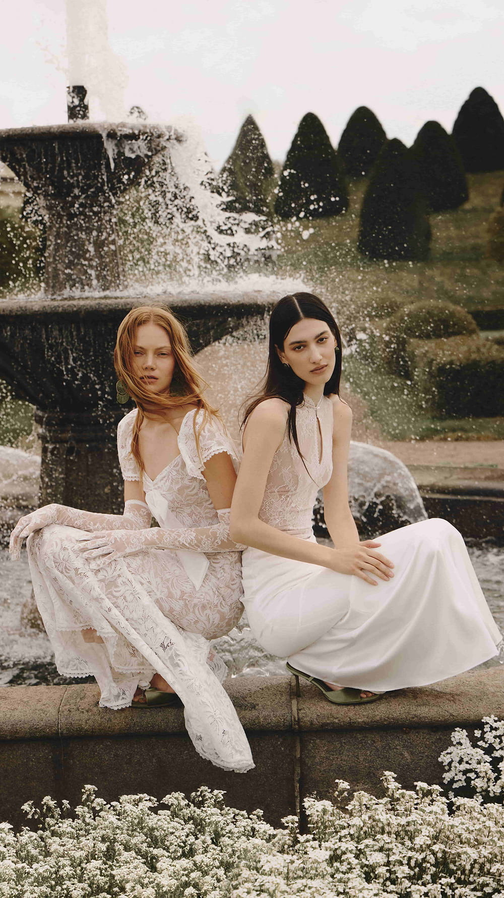 Swan & Lilies
